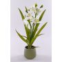 Künstliche Cymbidium Orchidee NALA im Keramiktopf, creme, 50cm