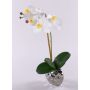 Kunstorchidee Phalaenopsis EMILIA, Keramiktopf, weiß, 45cm