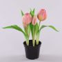 Kunsttulpe CAITLYN im Dekotopf, rosa-grün, 25cm, Ø2-6cm