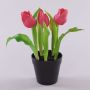 Kunsttulpe CAITLYN im Dekotopf, pink-grün, 25cm, Ø2-6cm