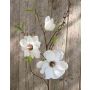 Künstlicher Magnolienzweig FINAH, creme-weiß, 90cm, Ø9-15cm