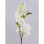 Kunstblumen Kirschblütenzweig MATSUDA mit Blüten, creme-weiß, 80cm, Ø6-11cm