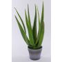 Künstliche Aloe Vera NAMIKA im Dekotopf, grün, 50cm, Ø50cm