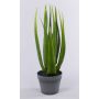 Künstliche Aloe Vera NAMIKA im Dekotopf, grün, 60cm, Ø60cm