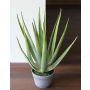 Künstliche Aloe Vera NAMIKA im Dekotopf, grün, 60cm, Ø60cm