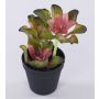 Echeveria gibbiflora künstlich SHAUNA im Dekotopf, grün-violett, 25cm