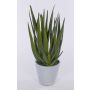 Künstliche Aloe Vera NAMIKA im Betontopf, grün, 40cm, Ø40cm