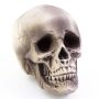 Halloween Dekoration Totenkopf MATTY, beige-grau, LEDs, 21x15x16cm