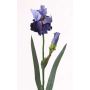 Künstliche Iris ALYSSA, blau, 70cm, Ø13cm