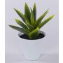 Künstliche Aloe Vera ROSALINA im Keramiktopf, grün, 21cm