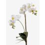 Kunstorchidee Phalaenopsis CANDIDA auf Steckstab, weiß, 65cm