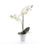 Kunstorchidee Phalaenopsis CANDIDA im Keramiktopf, weiß, 65cm