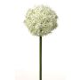 Künstlicher Allium SAMARA, weiß-grün, 75cm, Ø12cm