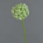 Künstlicher Allium SAMARA, weiß-grün, 75cm, Ø12cm
