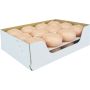 24er Set Schwimmende Kerzen ORNELLA, pastell-pfirsich, 2,8cm, Ø4,5cm, 4h