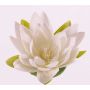 Seerose künstliche SCILLA, schwimmend, creme, 4cm, Ø16cm