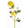 Kunstblumenzweig Ranunkel NOEMIE, gelb, 65cm, Ø4-8cm