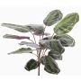 Kunstpflanze Calathea Medaillon BRIHANNA auf Steckstab, grün, 75cm