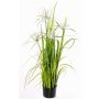 Künstliches Sterngras TAIGA mit Rispen, grün, 110cm
