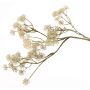 Kunstzweig Zimmeraralie YARED mit Blüten, creme-grün, 85cm, Ø2,5cm