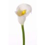 Kunstblume Calla CHIDORA, weiß, 55cm, 4,5x5,5cm