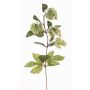 Künstlicher Hopfenzweig AXEL mit Blüten, hellgrün, 75cm, Ø3cm