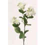 Künstlicher Jasmin Zweig SINJA, weiß-grün, 60cm, Ø4cm