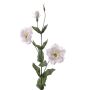Künstlicher Lisianthus Zweig NOWA, weiß, 80cm, Ø7cm