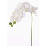 Phalaenopsis künstliche Orchidee GALINA, weiß, 60cm, Ø6-8cm