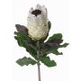 Kunstblume Protea NELLI, weiß-gelb, 75cm, Ø8cm