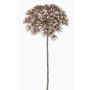 Kunststoff Bärenklau ANSARI, Trockenoptik, braun, 80cm, Ø22cm