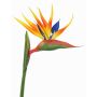 Künstliche Papageienblume LATIFA, orange-violett, 90cm, 17x20cm