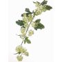 Künstlicher Japanischer Schneeball Zweig SOTRIO, grün, 85cm, Ø3-4cm