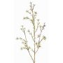 Künstliche Wachsblume NIANG, creme, 80cm, Ø1,5-2,5cm