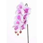 Künstlicher Phalaenopsis Orchideen Zweig ENISA, rosa-weiß, 60cm, Ø7-8cm