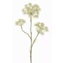 Kunstblume Bärenklau ABDEROS, creme, 105cm, Ø12-20cm