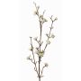 Liebesperlenstrauch Zweig künstlich LARINA mit Beeren, creme, 70cm