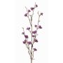 Liebesperlenstrauch Zweig künstlich LARINA mit Beeren, violett, 70cm