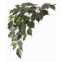 Unechte Birkenfeige Zweig YUGI, schwer brennbar, 75cm
