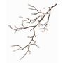 Dekozweig Magnolie KOTORI, grau, 75cm, Ø0,5-1cm