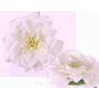 Künstliche Rosenblüte SASKIA, schwimmend, creme, 5cm, Ø15cm