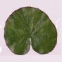 Seerosenblatt künstlich AJAY, schwimmend, grün, Ø13cm
