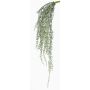 Erbsenpflanze Senecio Hänger künstlich KANELO, Steckstab, grün-grau, 80cm