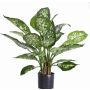Künstliche Dieffenbachia DILLA, grün-weiß, 50cm