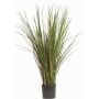 Schilfgras künstlich DELSIN, crossdoor, grün-braun, 80cm