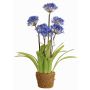Kunstblume Agapanthus INJALA im Erdballen, blau-lila, 80cm, Ø11cm