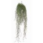 Unechte Tillandsia Usneoides LITA, Steckstab, crossdoor, grün, 75cm
