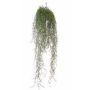 Unechte Tillandsia Usneoides LITA, Steckstab, crossdoor, grün, 75cm