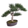 Künstliche Pinie Bonsai ARATA mit Wurzeln, in Dekoschale, 45cm