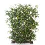 Kunst Bambus Sichtschutz Hecke HIYORI, crossdoor, 120x170cm